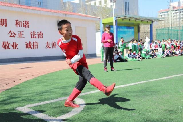 2026年法网单打正赛名单公布 郑钦文等5名中国球员入围